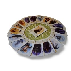 El Zorro en el Bosque