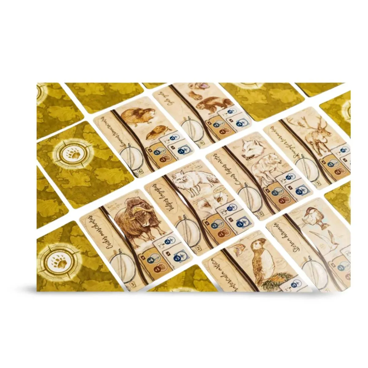 Through Ice and Snow