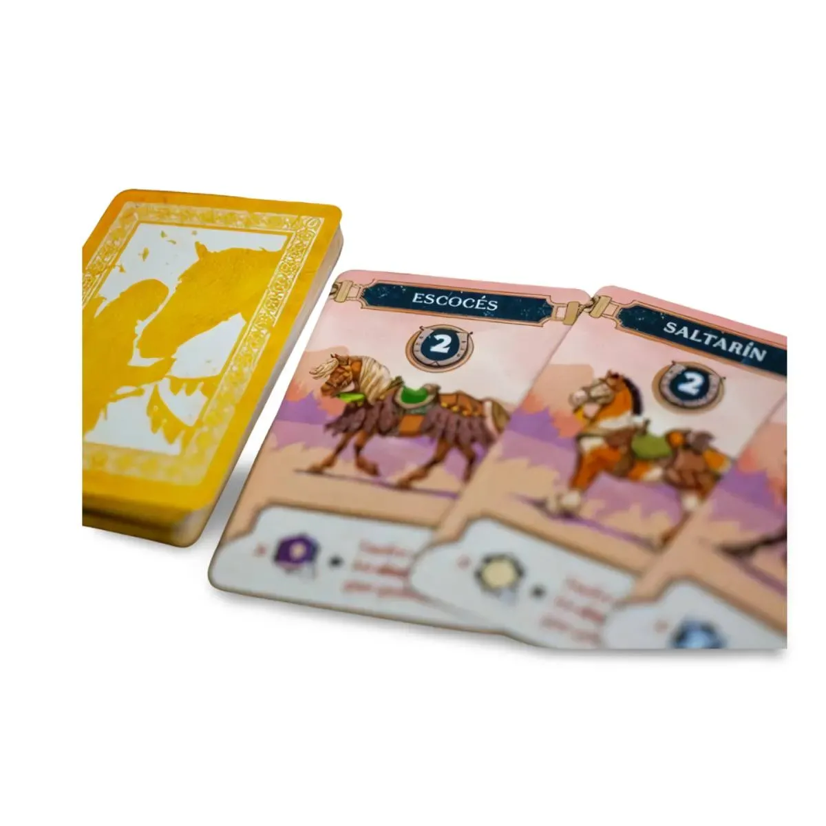 Oltréé: Monturas y Corceles