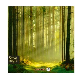 Selva Negra